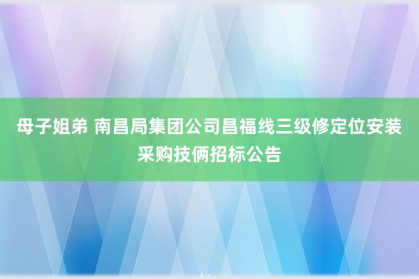 母子姐弟 南昌局集团公司昌福线三级修定位安装采购技俩招标公告