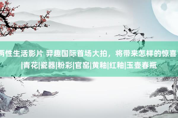 两性生活影片 羿趣国际首场大拍，将带来怎样的惊喜？|青花|瓷器|粉彩|官窑|黄釉|红釉|玉壶春瓶