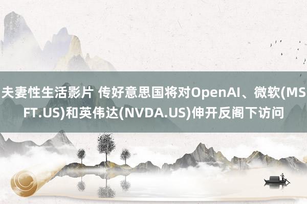 夫妻性生活影片 传好意思国将对OpenAI、微软(MSFT.US)和英伟达(NVDA.US)伸开反阁下访问