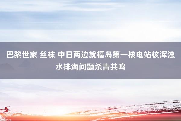 巴黎世家 丝袜 中日两边就福岛第一核电站核浑浊水排海问题杀青共鸣